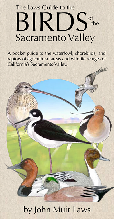 Wildlifeguide