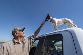  dog on top of truck with its owner