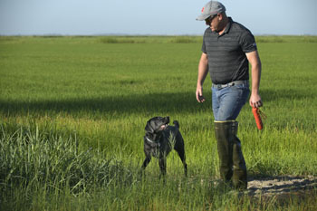 Rice dog and its owner in rice field