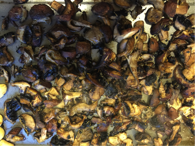 Manja Manja Mushroom Risotto cooking