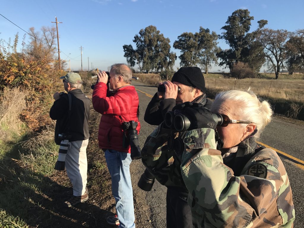 people bird watching with binoculars