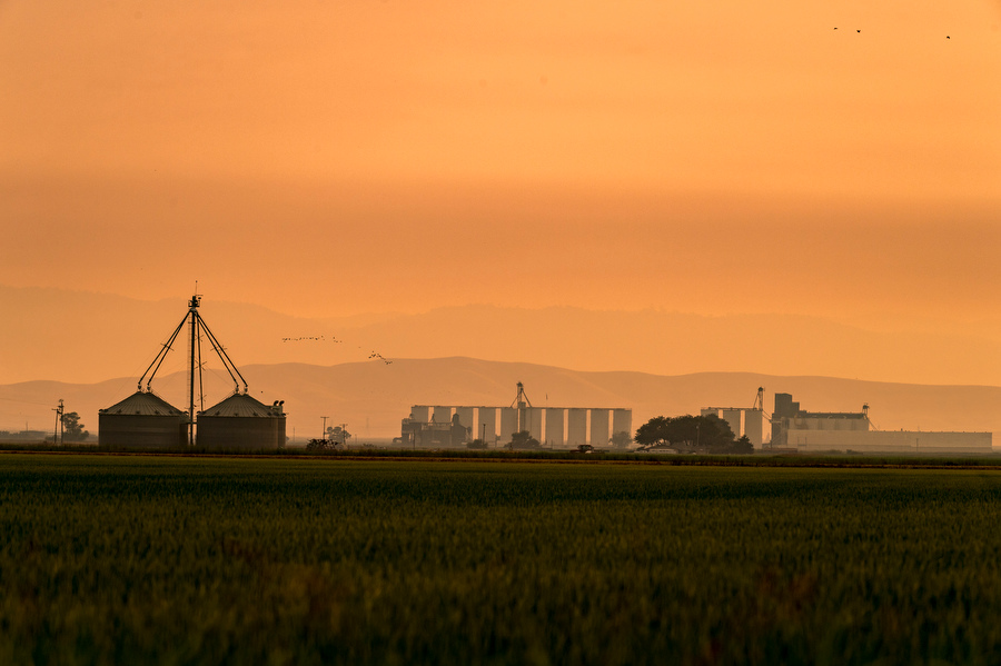 hazy skies from wildfires over rice silos