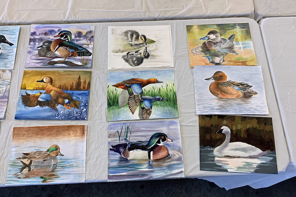 drawings and paintings of birds for art contest