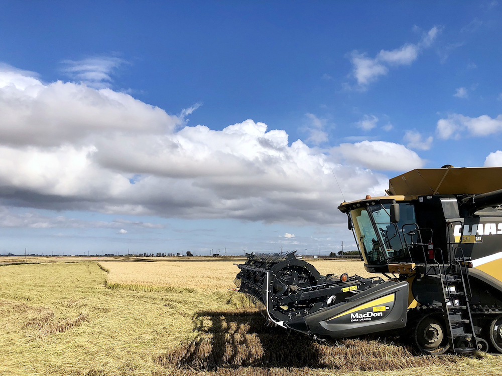 rice harvester