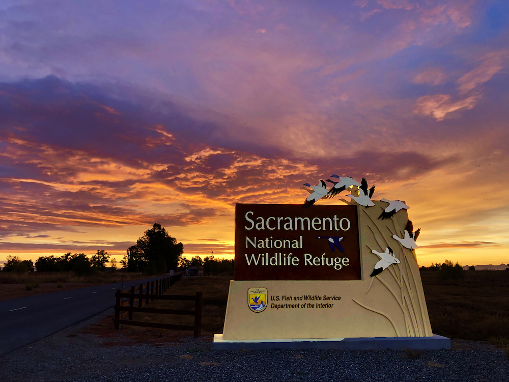 sacramento national wildlife refuge