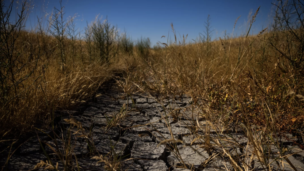 dry, cracked dirt