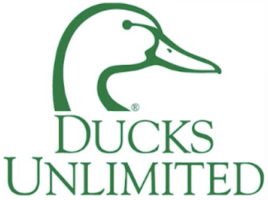 DU