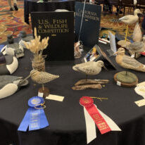 ALL-DECOY-ENTRIES
