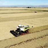 Ag Commissioner Video