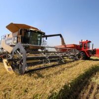 rice harvester