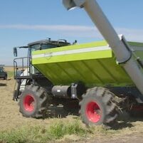 Rice-Harvest-Pulls-Double-Duty