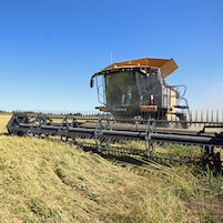 rice harvester