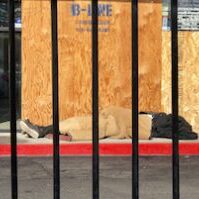 homeless man sleeping