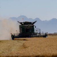 rice harvester