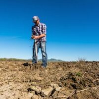 farmer working in field