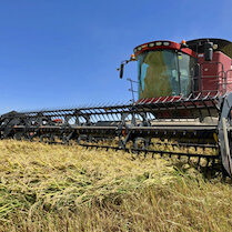 rice harvester